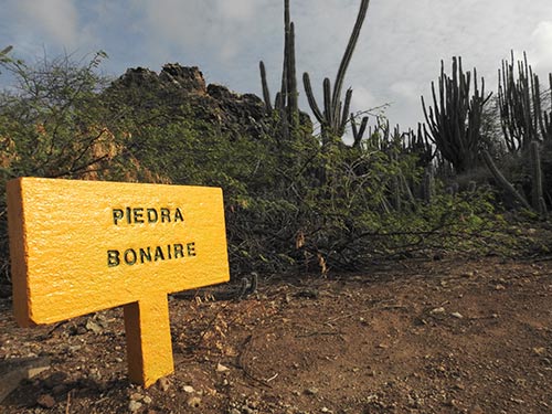 Explore the Valley of Rincon’s New Driving, Hiking, and Biking Trails