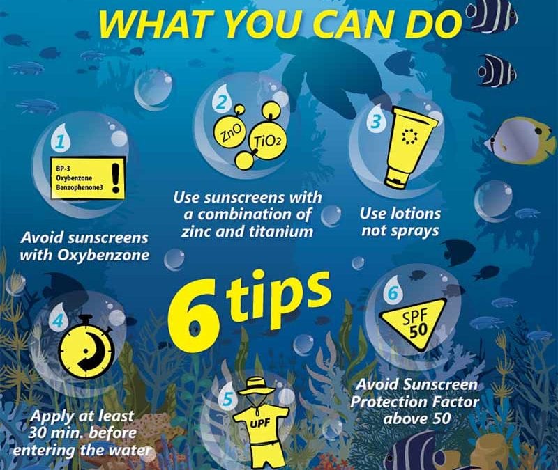 6 Top Tips for Choosing an Environmentally Friendly Sunscreen