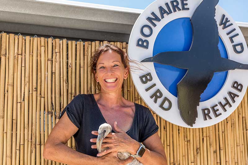 Bonaire Wild Bird Rehab Officially Opens June 1st, Providing a Home for Bonaire’s Sick or Injured Birds