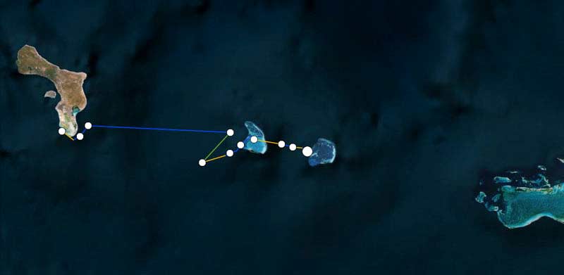 Tracking green sea turtle, Bonni, as she departs from Bonaire. Tracking green sea turtle, Bonni, as she departs from Bonaire.