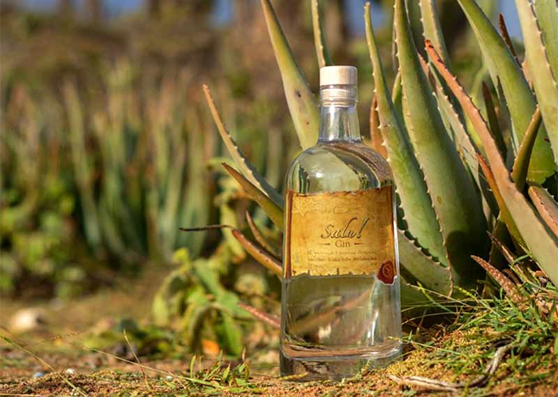 Salú! Bonaire’s Cadushy Premieres the First Caribbean Gin