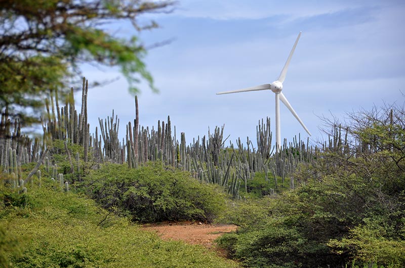 Bonaire’s Electricity–Nearly 1/3 is Sustainable
