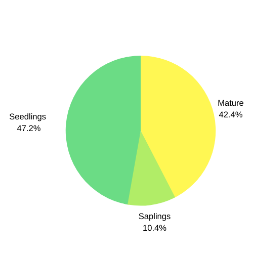 Trees by height in Bonaire's dry forest monitoring survey. Trees by height in Bonaire's dry forest monitoring survey.
